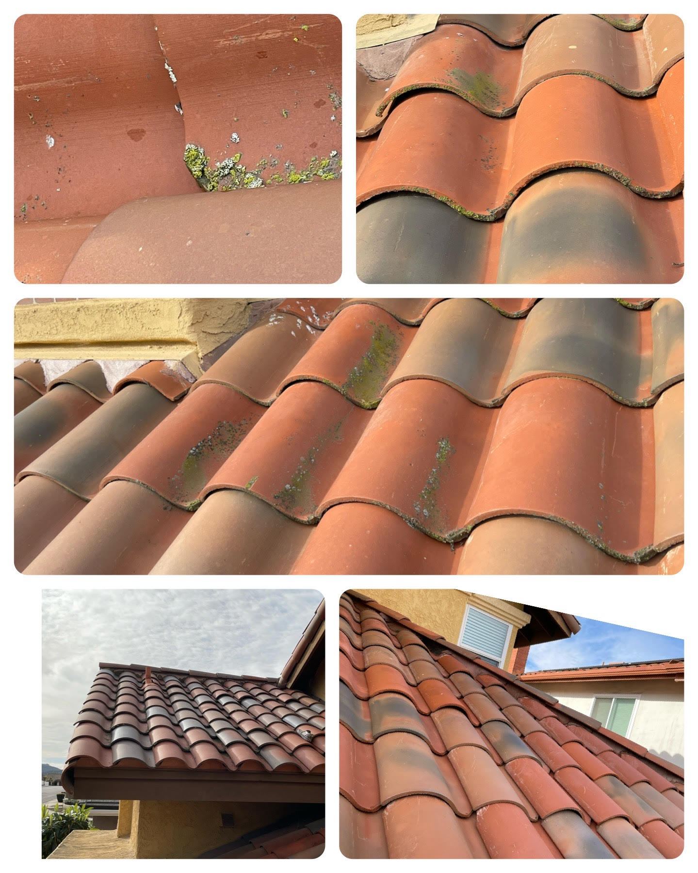 Residential Clay Tile Roof Wash in San Diego, CA